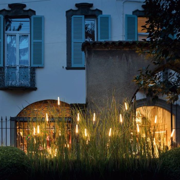 10 idea ezos ganatebistvis