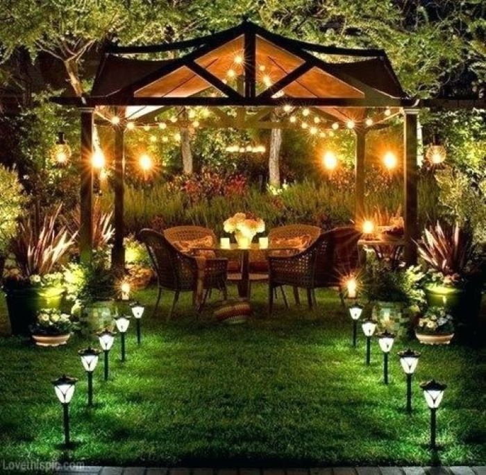 10 idea ezos ganatebistvis