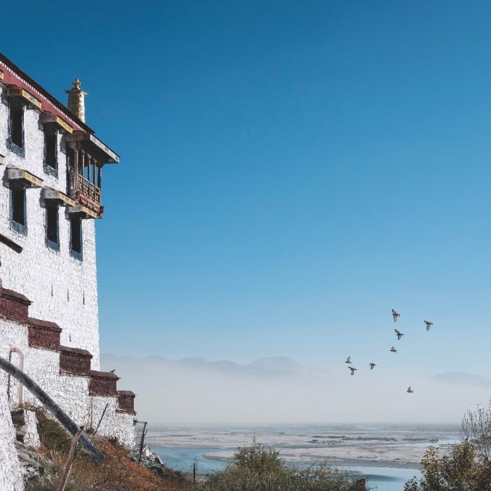 ,,სამყაროს სახურავის“ არქიტექტურა