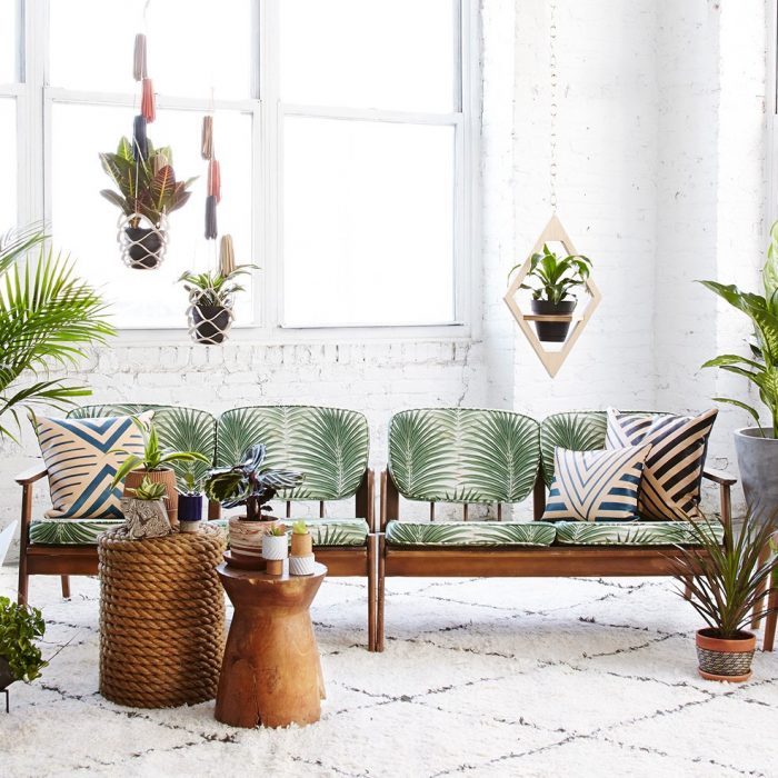 საუკეთესო მცენარეები სახლისთვის