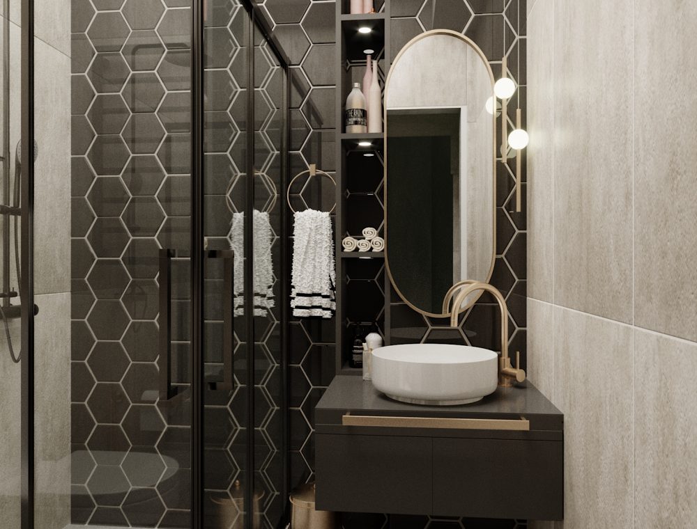 saxlis dziaini vake hilsze