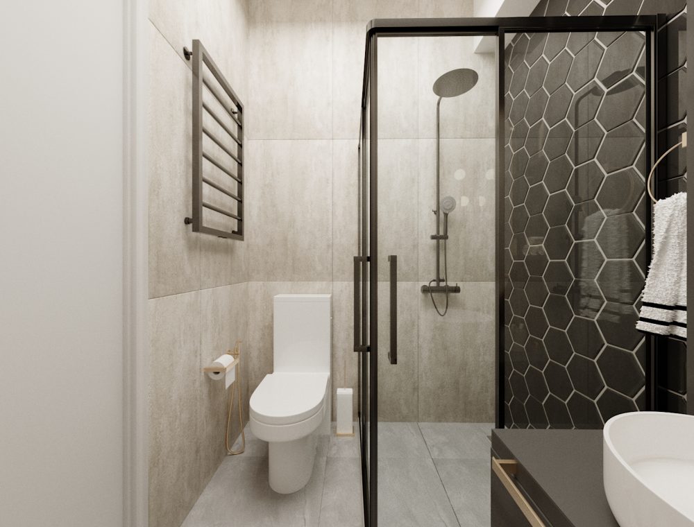 saxlis dziaini vake hilsze