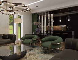 kerdzo-saxlis-proeqti-oqroyanashi-sakutari-saxli