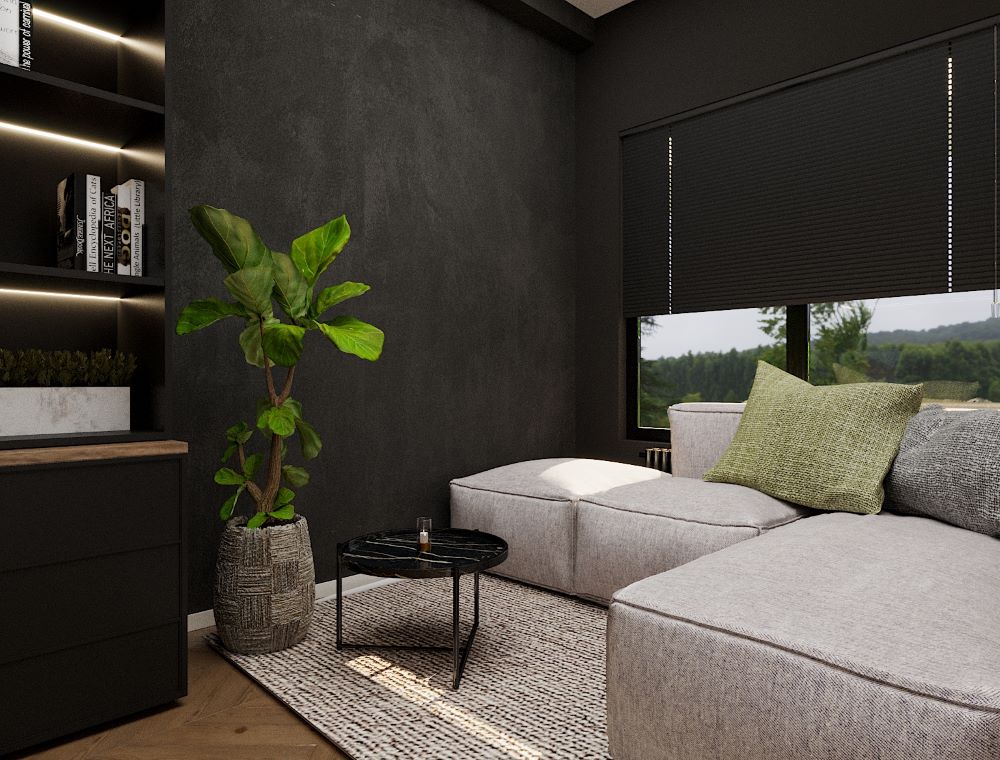 lisi txinvala kerdzo saxlis interieris dizaini