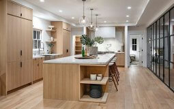 naxet justin da haily biberebis zgapruli saxli californiashi