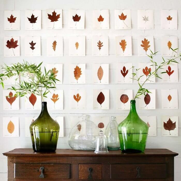 ნახეთ, როგორ უნდა მოაწყოთ სახლი საშემოდგომოდ