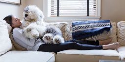 rchevebi romelic saxlshi dzaglis moyvanamde unda gaitvaliswinot