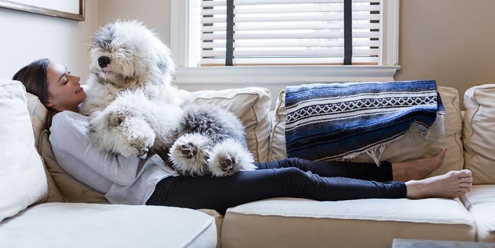 რა უნდა გაითვალისწინოთ სახლში ძაღლის მოყვანამდე რა უნდა გაითვალისწინოთ სახლში ძაღლის მოყვანამდე