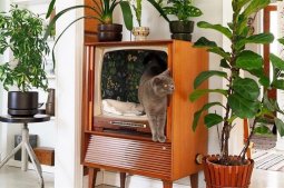 dzveli avejis axali sicocxle-xrikebi interieris dizainerebisgan