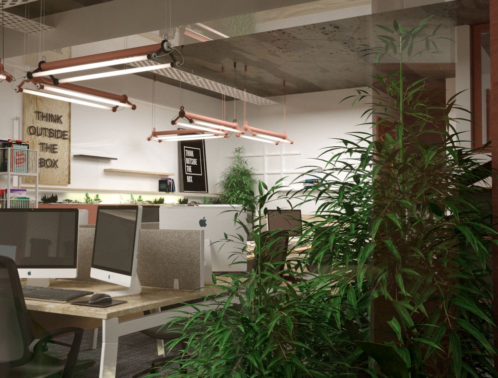 ofisi nafetvrebis gzaze interieris dizaini