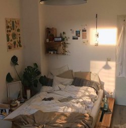 rogor gamoiyureba tkveni otaxi tkveni zodiakos nishnis mixedvit