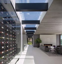 naxet 88 milionad shepasebuli bionsesa da jeizis saxli