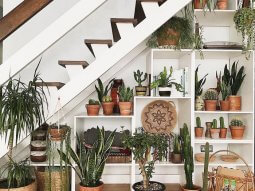 rogor movawyot kibis qvesh carieli sivrce