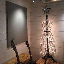 alternativa-ra sheidzleba dadgat nadzvis xis magivrad