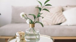 shearchiet popularuli dekori fen shuis mixedvit