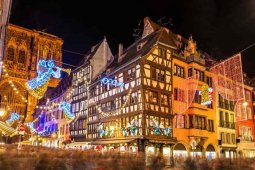 msoflio 5 sauketeso sashobao bazroba