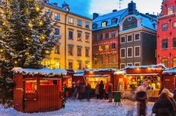 msoflio 5 sauketeso sashobao bazroba