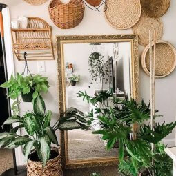 chilis nivtebi interiershi