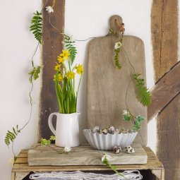 moawyvet saxli saagdgomot-5martrivi xerxi fortisisgan