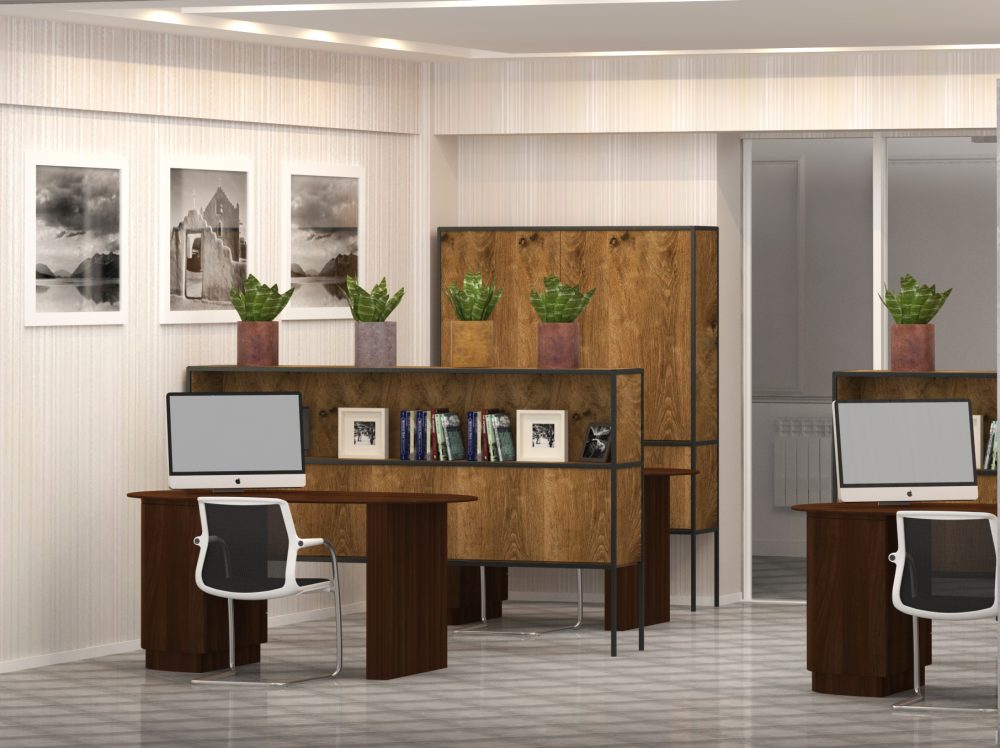 ofisis interieris dizaini vakeshi